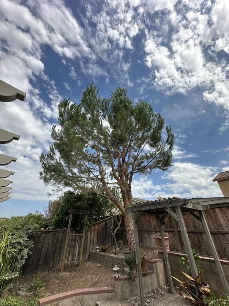 Trusted garden landscaping near you in Beaumont, CA by Re-Envisioned Landscaping