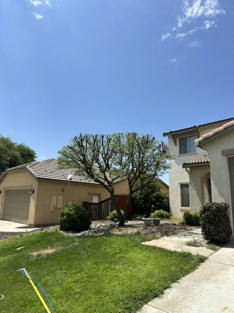 Custom yard cleanup service in Beaumont, CA - Re-Envisioned Landscaping