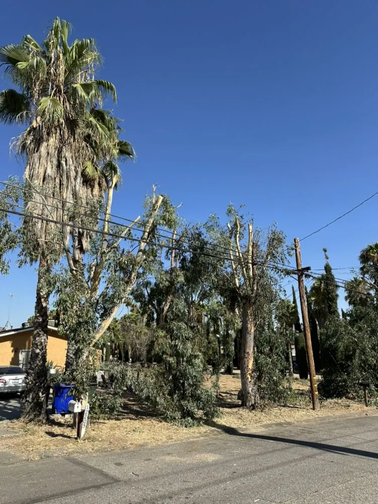 Reliable yard maintenance in Beaumont, CA - Re-Envisioned Landscaping