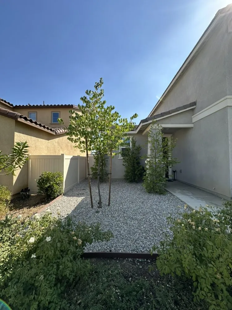 Professional outdoor landscaping for beautiful yards across Beaumont, CA - Re-Envisioned Landscaping