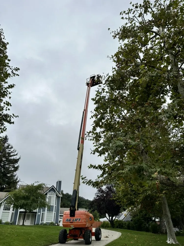 Expert outdoor landscaping in Beaumont, CA by Re-Envisioned Landscaping