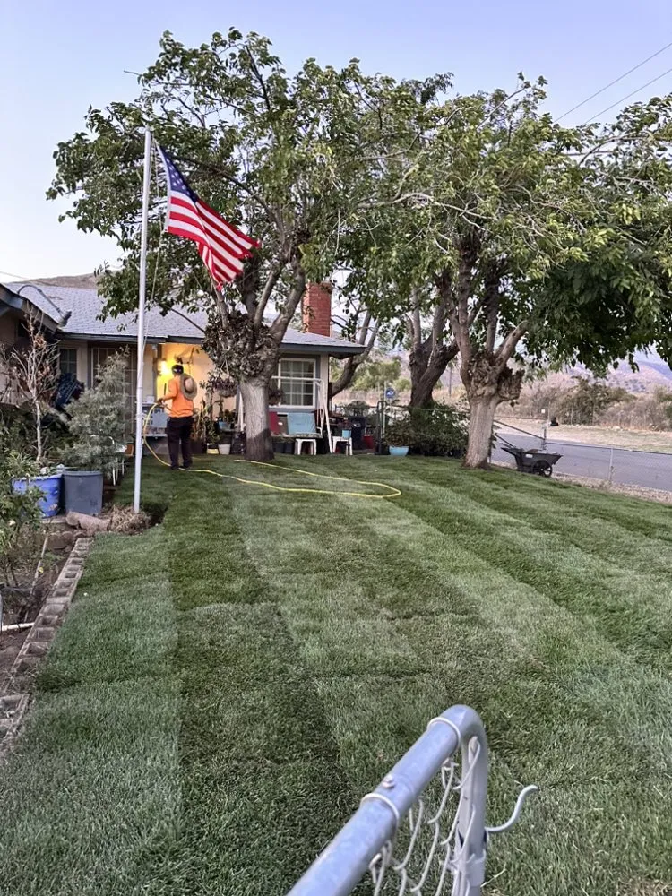 Reliable yard cleanup service for homes across Beaumont, CA - Re-Envisioned Landscaping