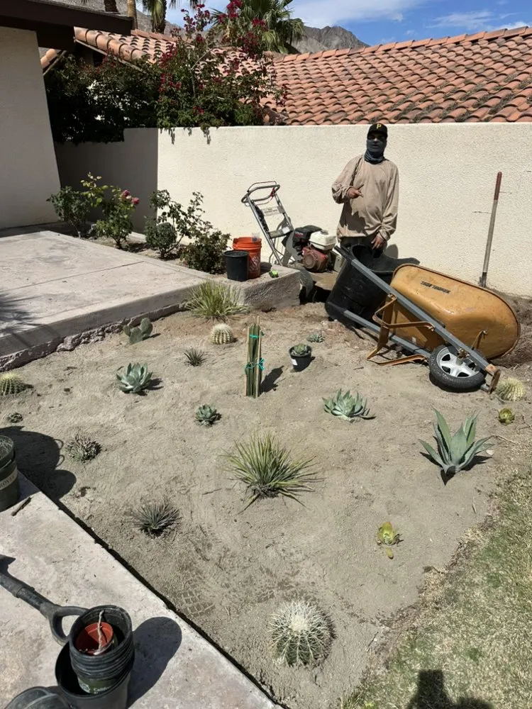 Affordable yard maintenance for beautiful yards in Beaumont, CA by Re-Envisioned Landscaping
