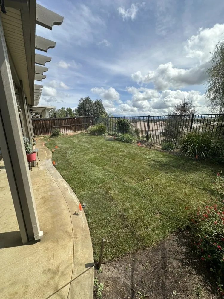 Professional yard cleanup service with custom design across Beaumont, CA - Re-Envisioned Landscaping