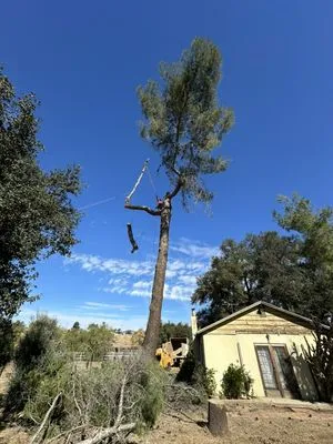 Re-Envisioned Landscaping