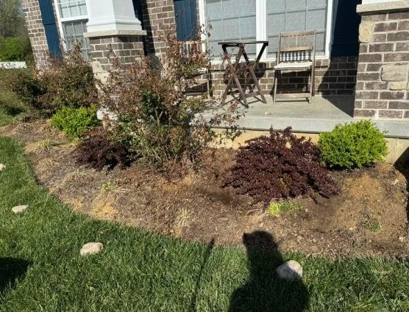 Trusted lawn care service for year-round maintenance in Moscow Mills, MO by Re-Fresh Residential Lawn Care & Power Washing