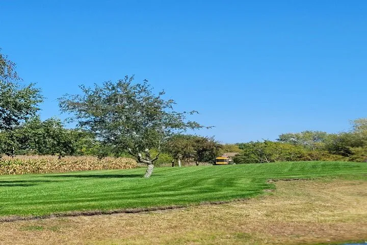 Professional outdoor landscaping in Grant Park, IL - Re-Green Fertilizing & Weed Control