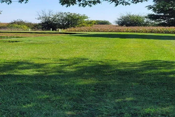 Affordable yard maintenance in Grant Park, IL - Re-Green Fertilizing & Weed Control