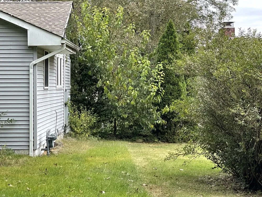 Reliable yard cleanup service in Browns Mills, NJ by R&E Landscape And Lawn Care