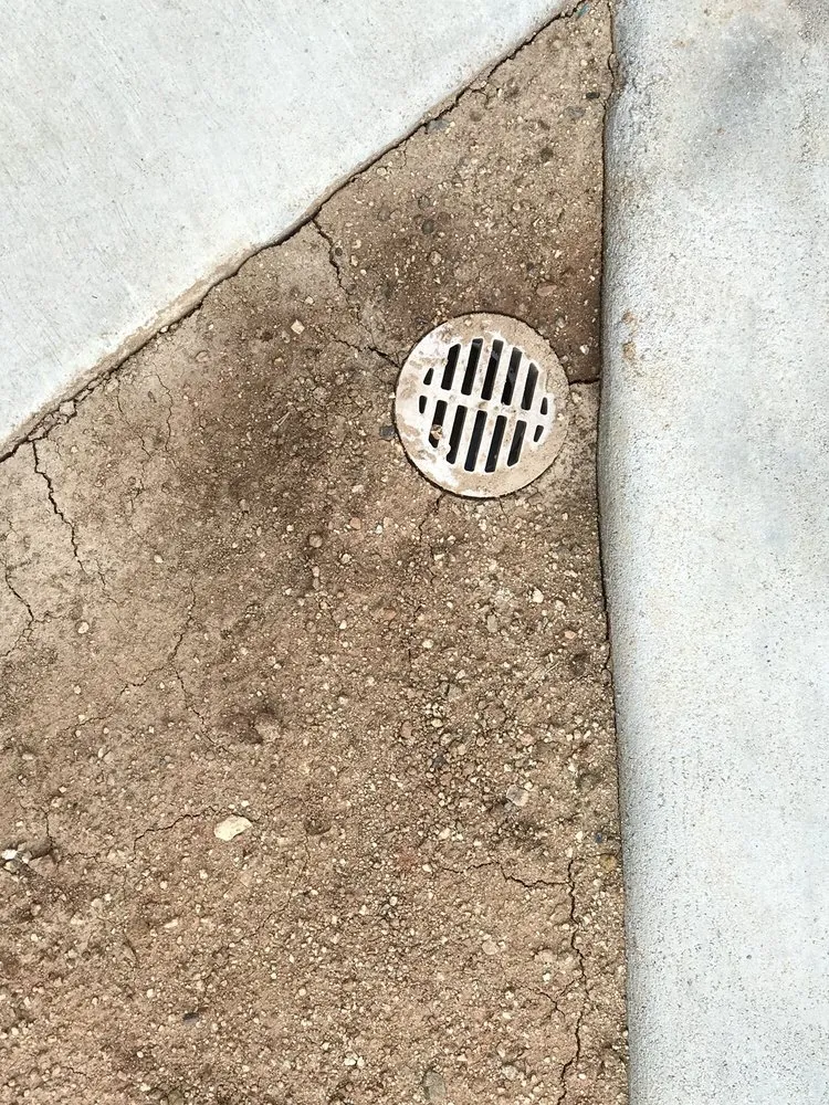 Top-rated lawn care service for year-round maintenance across Winchester, CA - Re-Leaf Landscape