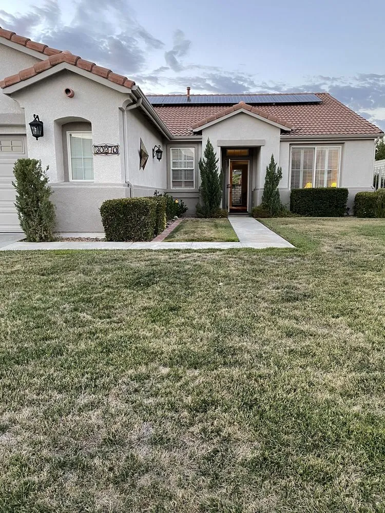 Custom outdoor landscaping in Winchester, CA by Re-Leaf Landscape
