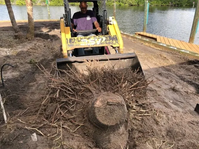 Reliable landscaping services experts serving Merritt Island, FL - R&E Pro