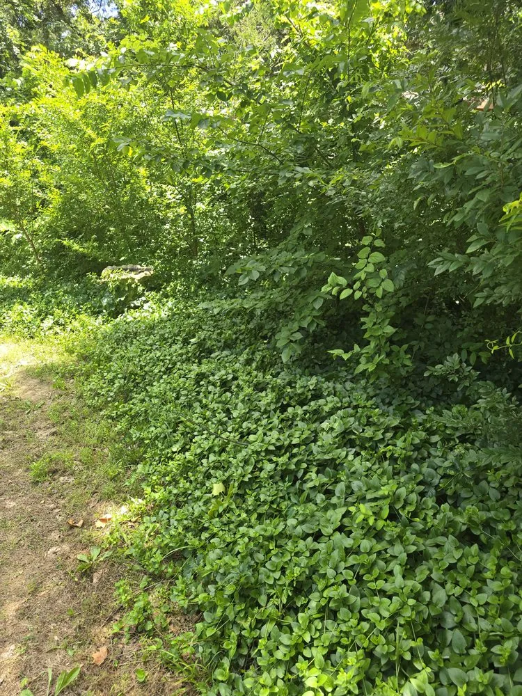 Affordable landscape design with custom design across Shawnee, OK - Rea Construction