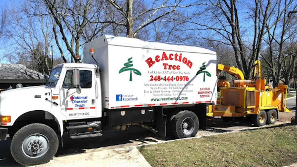 Local lawn mowing service with custom design across Southfield, MI - ReAction Tree Service