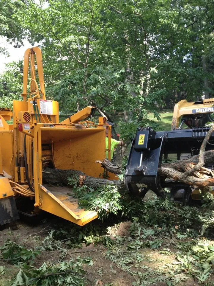 Professional garden landscaping for homes across Southfield, MI - ReAction Tree Service