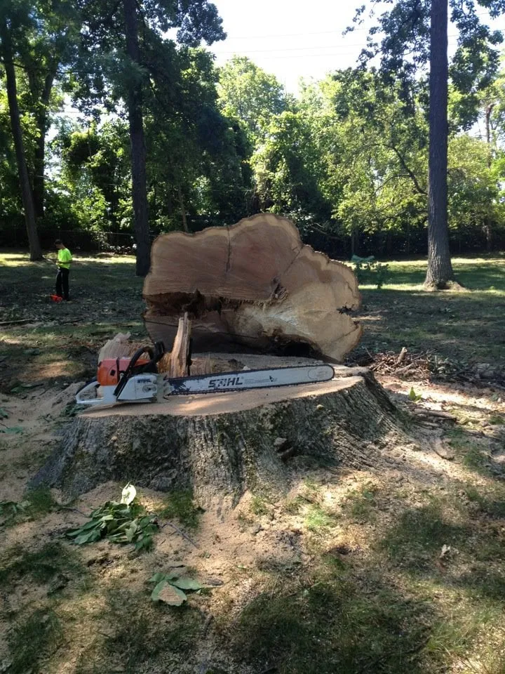 Local garden landscaping for year-round maintenance in Southfield, MI by ReAction Tree Service