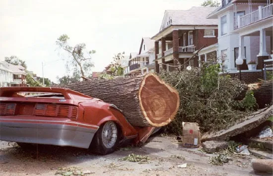 Affordable lawn mowing service for outdoor upgrades across Southfield, MI - ReAction Tree Service