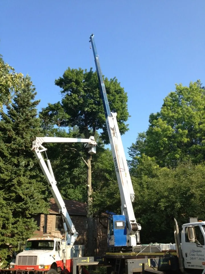 Custom lawn care service experts serving Southfield, MI - ReAction Tree Service