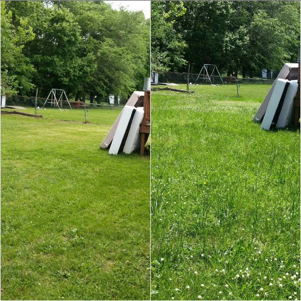 Expert lawn mowing service in Petersburg, VA - Ready Able Mason Lawn Services