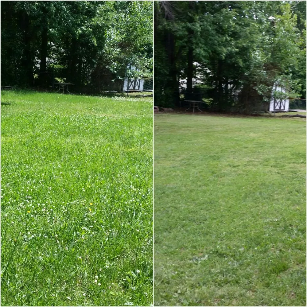 Local landscape design in Petersburg, VA - Ready Able Mason Lawn Services