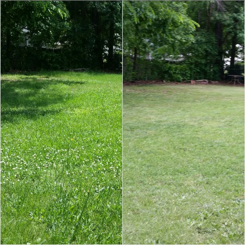 Reliable outdoor landscaping for outdoor upgrades in Petersburg, VA by Ready Able Mason Lawn Services