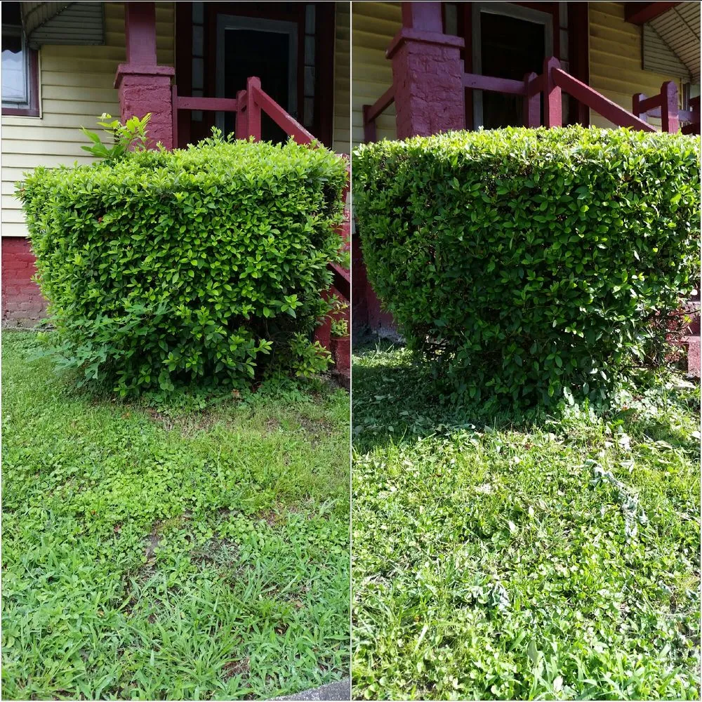 Custom lawn mowing service for homes in Petersburg, VA by Ready Able Mason Lawn Services