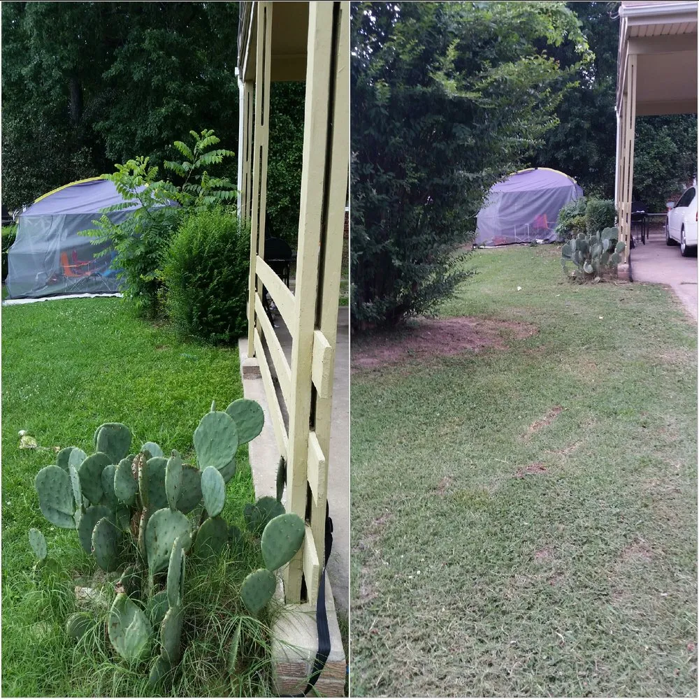 Custom lawn care service with custom design across Petersburg, VA - Ready Able Mason Lawn Services