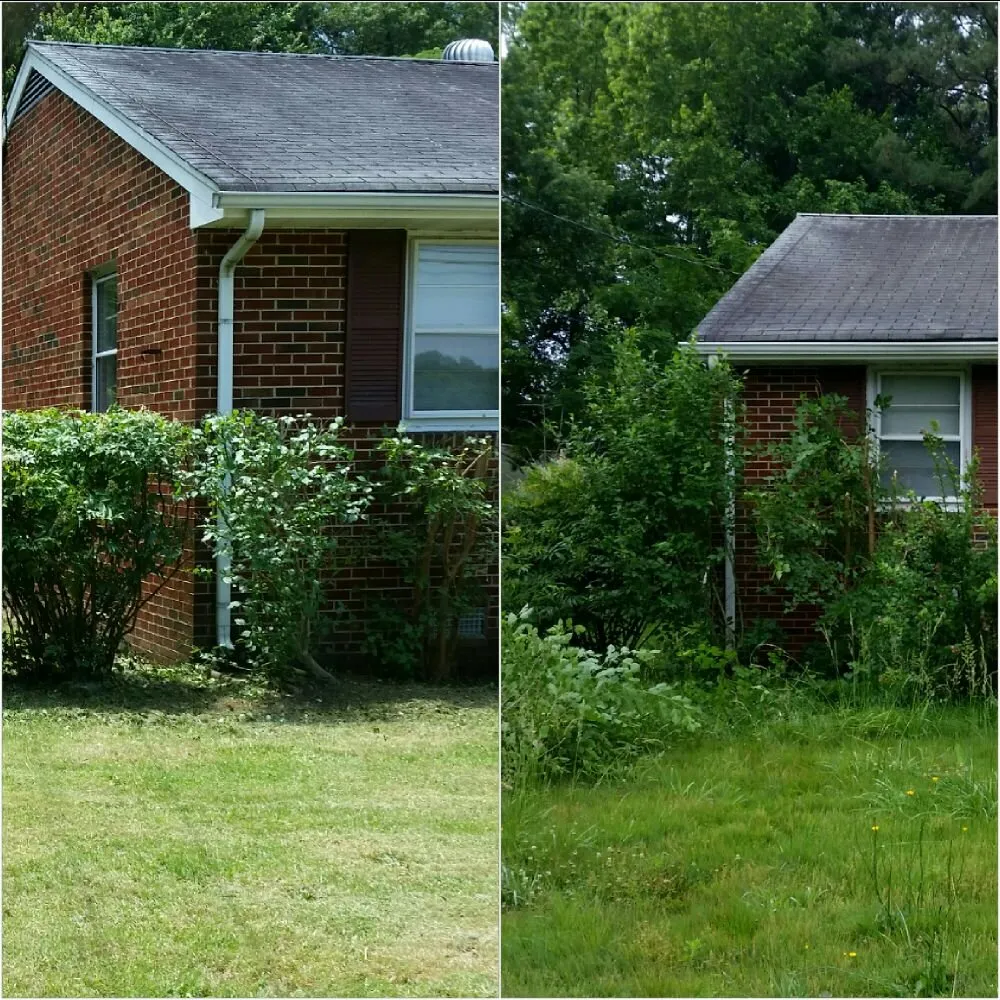 Expert yard maintenance for beautiful yards in Petersburg, VA by Ready Able Mason Lawn Services