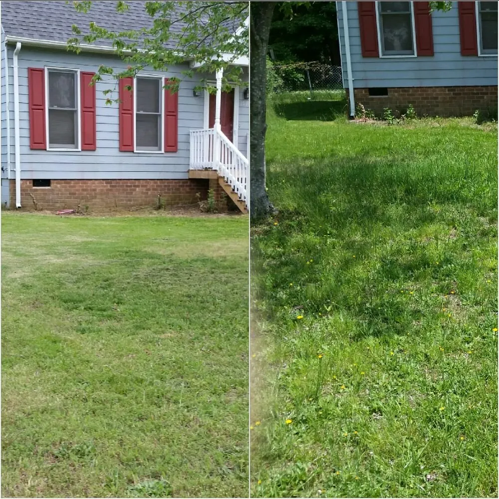 Reliable yard maintenance for homes in Petersburg, VA by Ready Able Mason Lawn Services