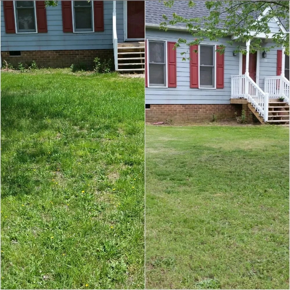 Local lawn mowing service for residential properties across Petersburg, VA - Ready Able Mason Lawn Services