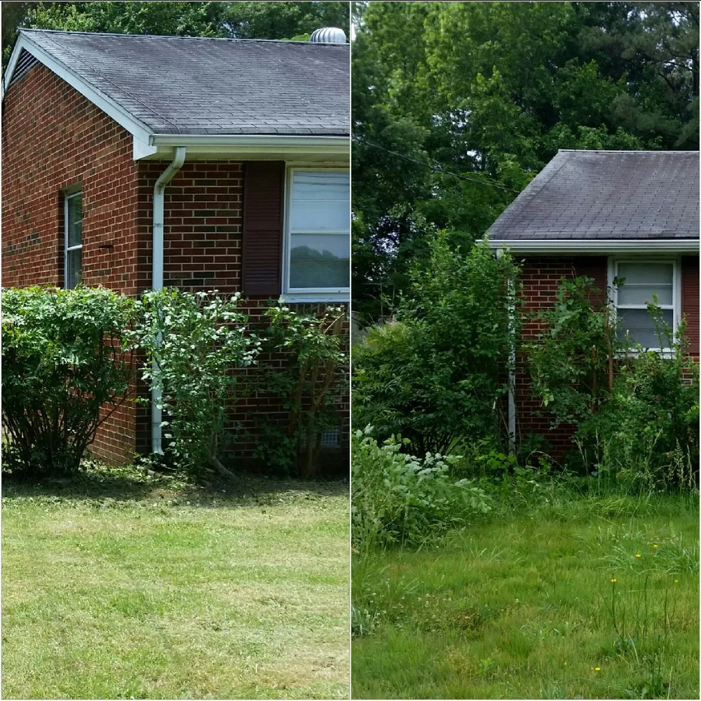 Professional landscape design experts serving Petersburg, VA - Ready Able Mason Lawn Services