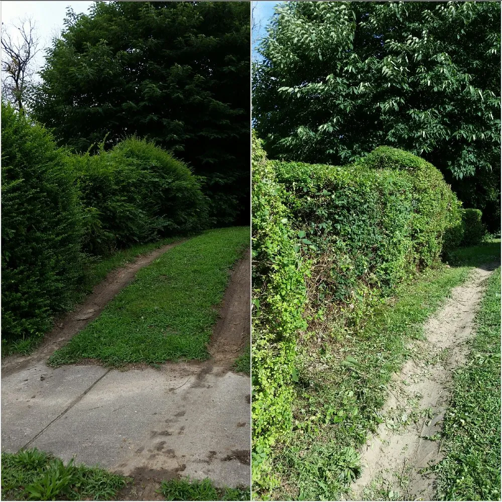 Trusted landscaping services in Petersburg, VA - Ready Able Mason Lawn Services