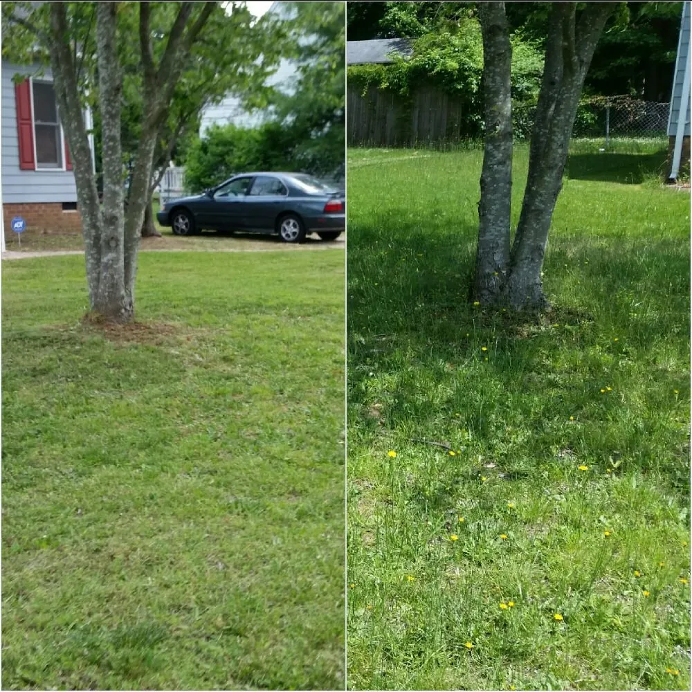 Reliable lawn mowing service for year-round maintenance across Petersburg, VA - Ready Able Mason Lawn Services
