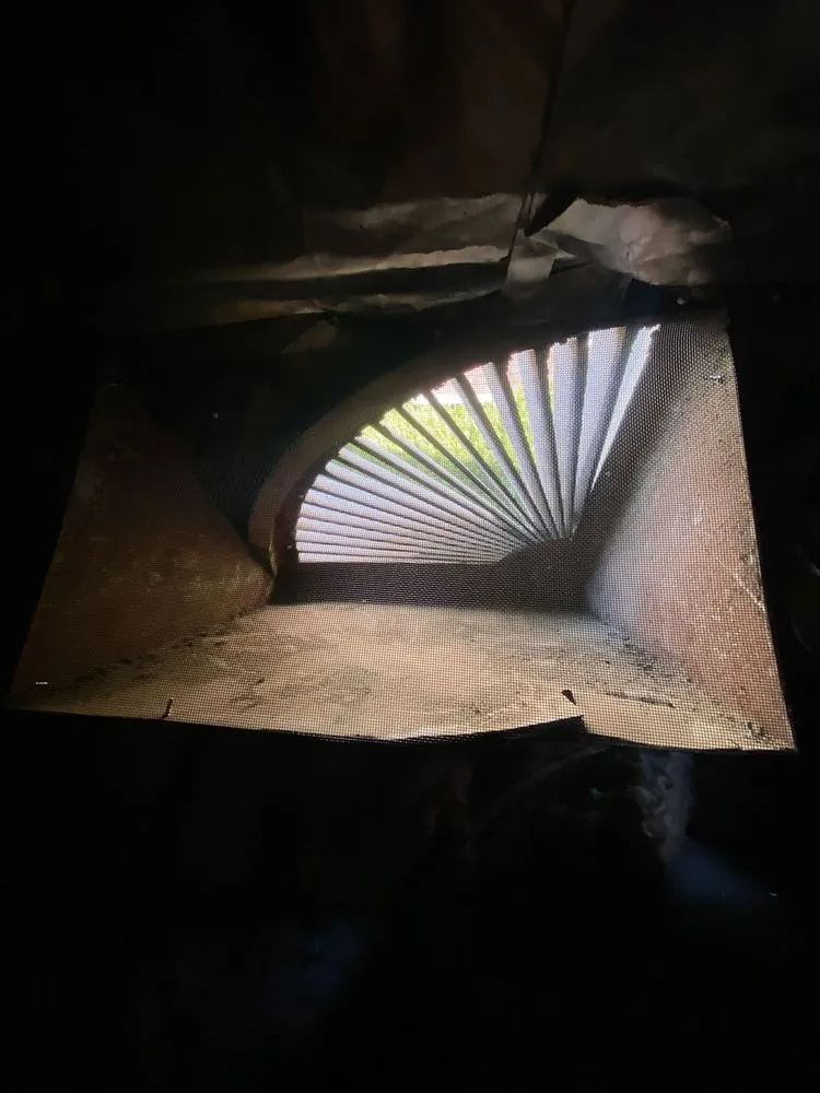 Professional outdoor landscaping for residential properties in Pasadena, CA by Ready Fire One