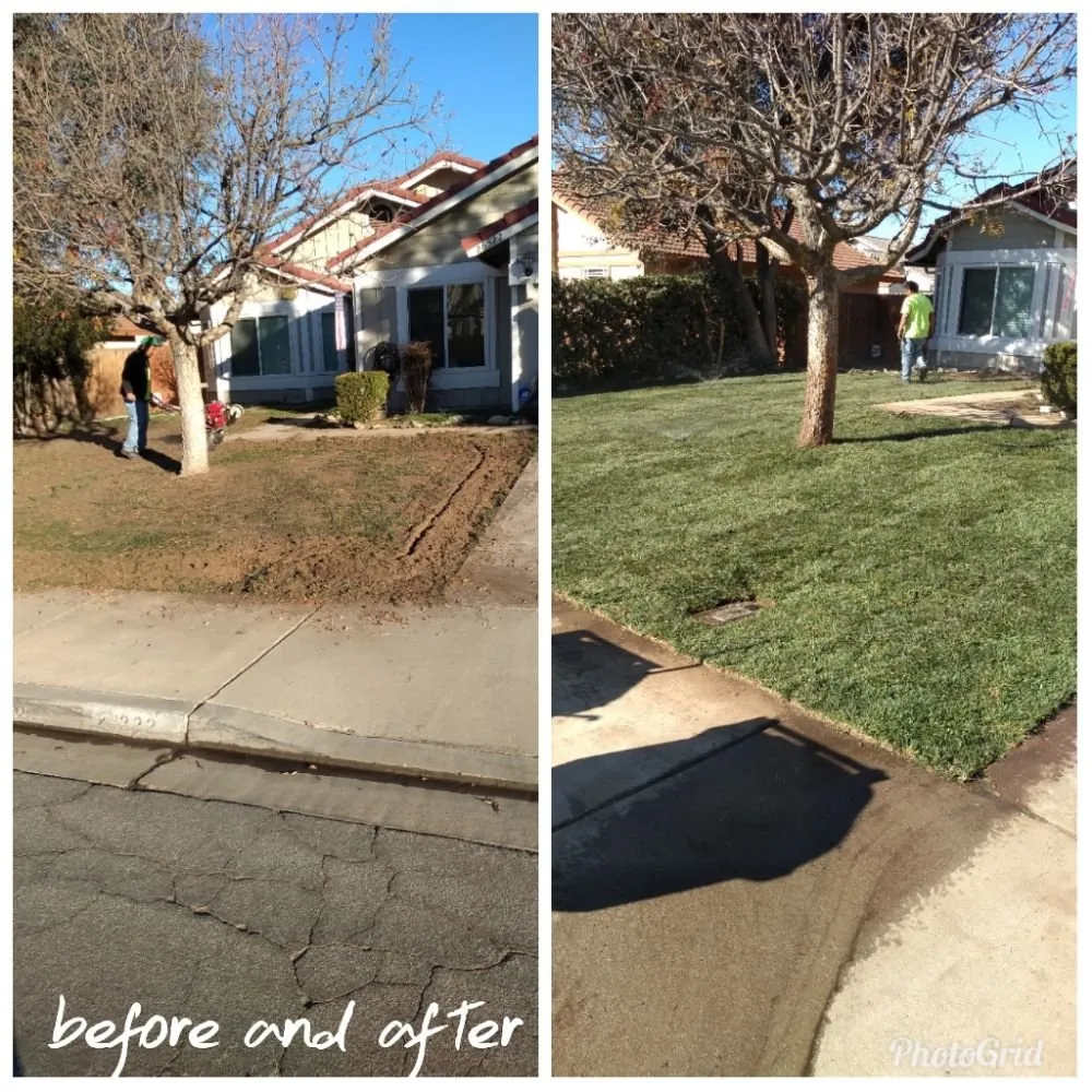 Affordable outdoor landscaping for residential properties across Banning, CA - Ready For You Landscaping services