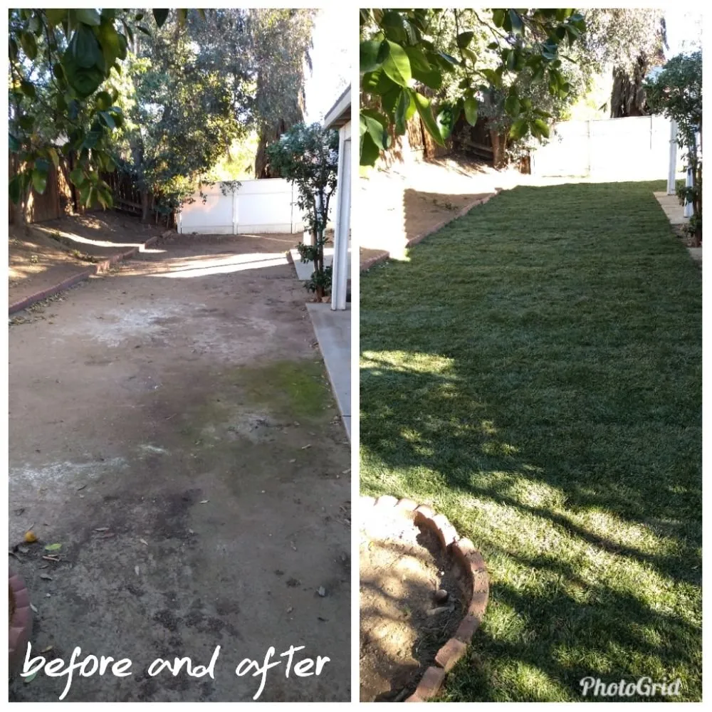Affordable garden landscaping in Banning, CA by Ready For You Landscaping services
