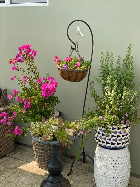 Trusted yard maintenance in Saint Johns, FL by Ready Growers