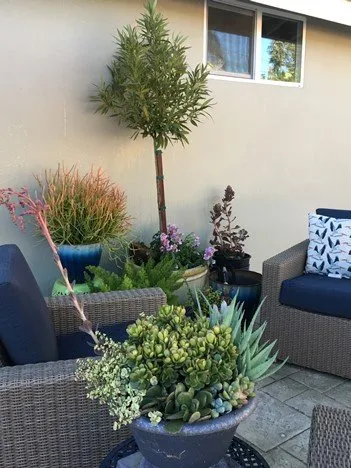 Trusted landscape installation near you in Saint Johns, FL by Ready Growers