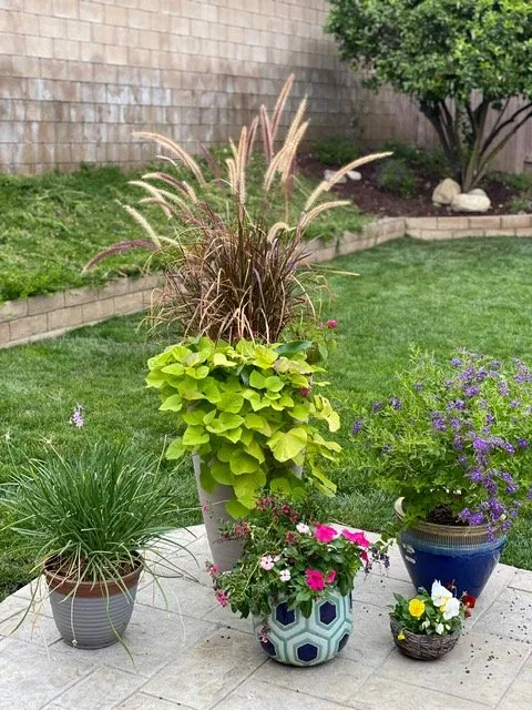 Reliable lawn care service for residential properties in Saint Johns, FL by Ready Growers