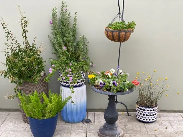 Trusted residential landscaping in Saint Johns, FL by Ready Growers