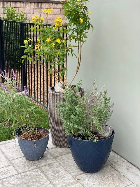 Local yard cleanup service in Saint Johns, FL - Ready Growers