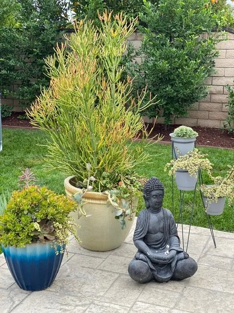 Trusted residential landscaping experts serving Saint Johns, FL - Ready Growers