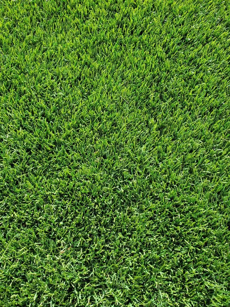 Custom landscape design experts serving Las Vegas, NV - Ready Landscape And Sprinkler