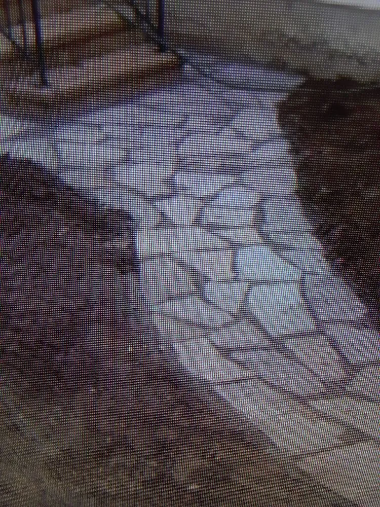 Trusted landscaping services in Las Vegas, NV by Ready Landscape And Sprinkler