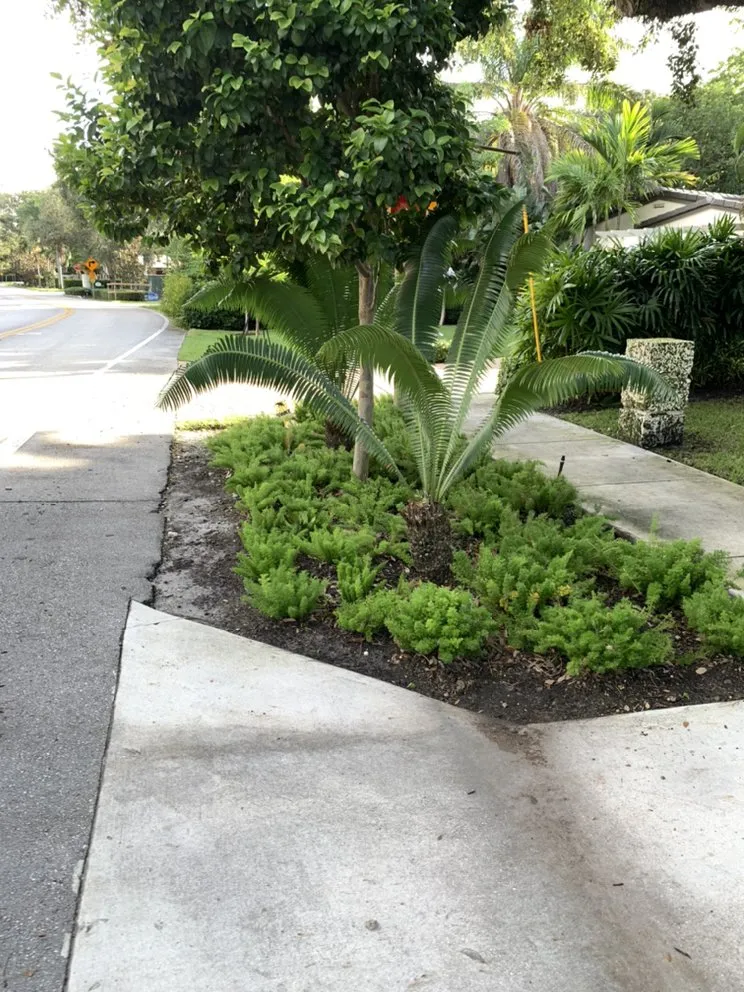 Reliable lawn mowing service for beautiful yards in Pompano Beach, FL by Ready Lawn And Landscaping