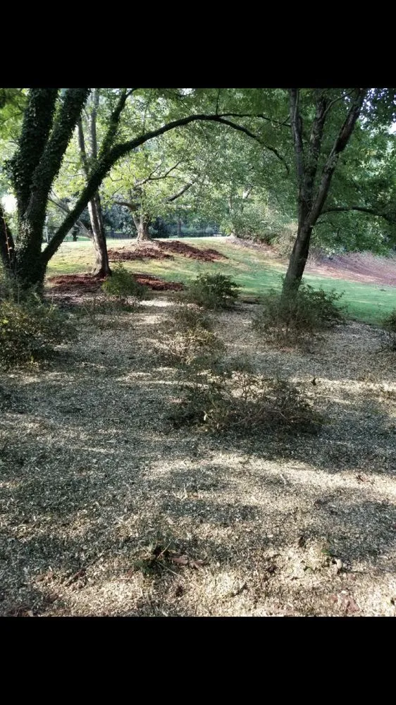 Top-rated lawn mowing service in Atlanta, GA by Ready Lawn Maintenance & Tree Service