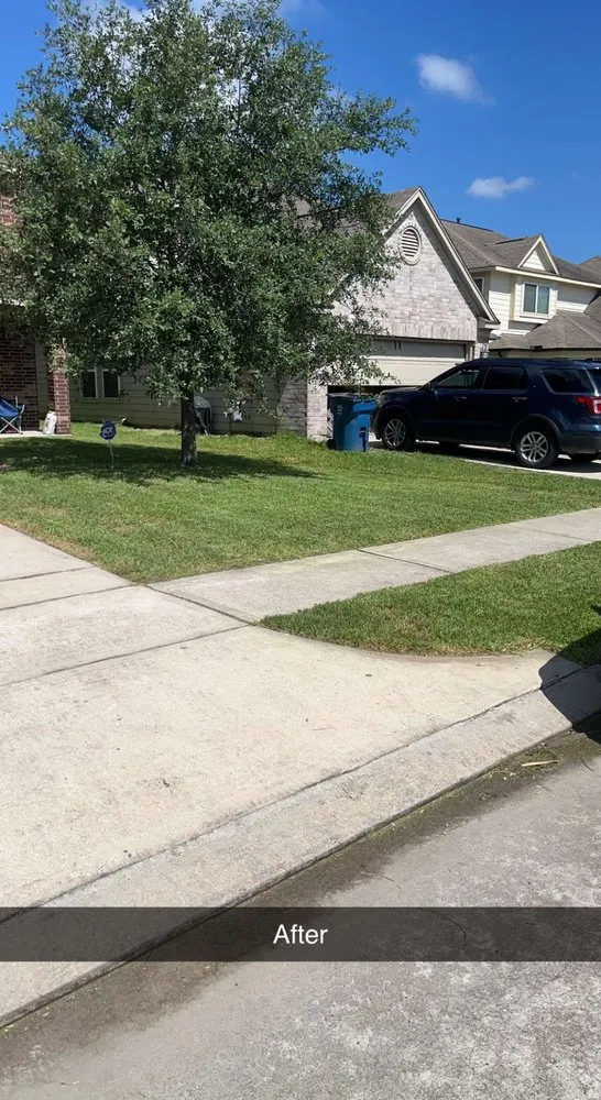 Affordable lawn mowing service for year-round maintenance across Channelview, TX - Ready Men Lawn Service