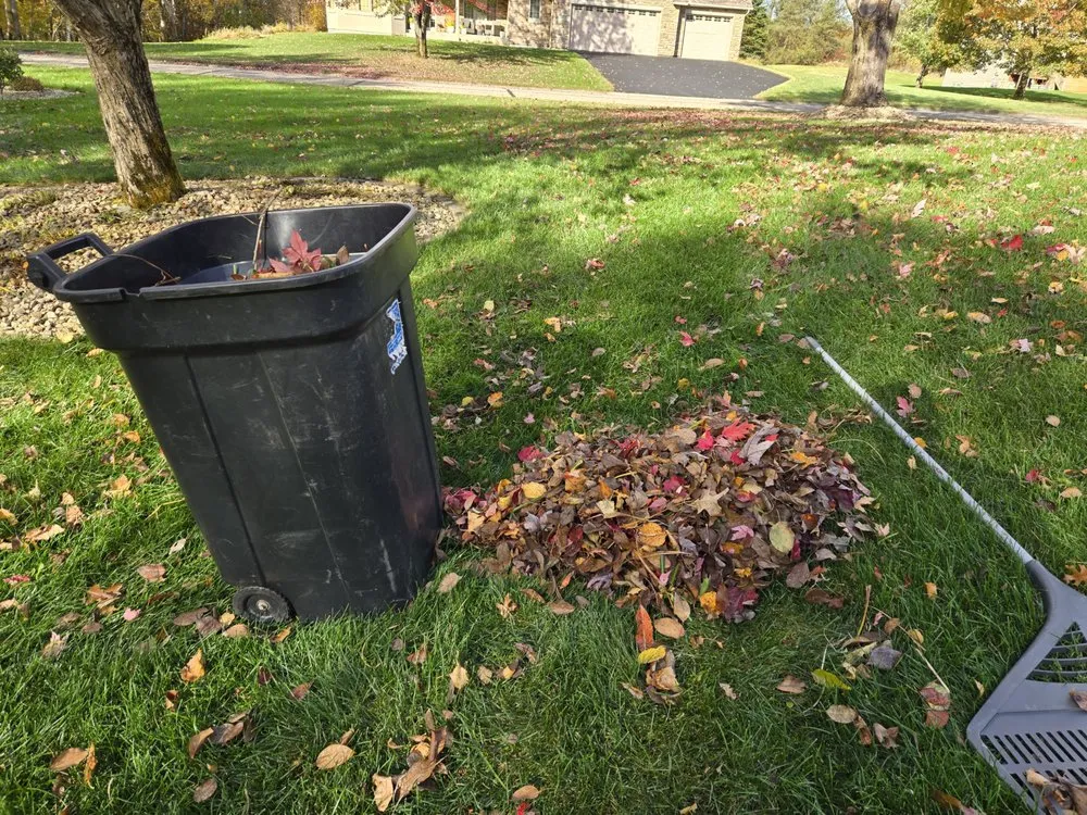 Trusted yard cleanup service in Coon Rapids, MN by Ready Pro Lawn