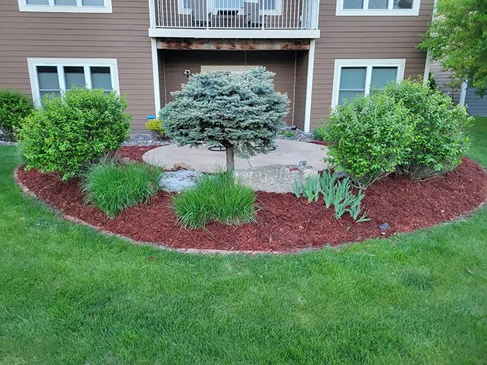 Reliable landscape installation in Coon Rapids, MN by Ready Pro Lawn
