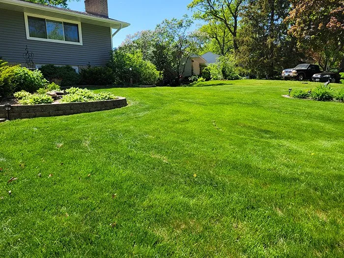 Custom landscaping services in Coon Rapids, MN by Ready Pro Lawn